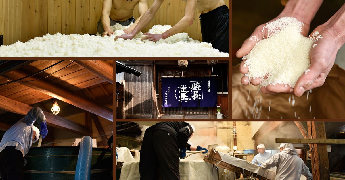 Sản xuất rượu sake ở Ueda san-xuat-ruou-sake-o-ueda